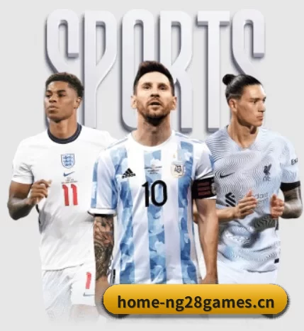 五大服务分区,信息按项目分类 - NG28