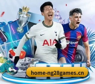 我们在做什么 - NG28